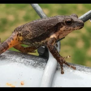 Meet your Posher, Gabby